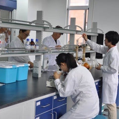 ผงสกัดกระชายขาว (Fingerroot Extract Powder) · 1 กก.