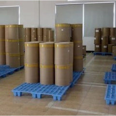 ผงสกัดกระชายขาว (Fingerroot Extract Powder) · 1 กก.