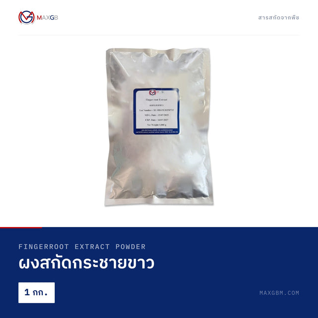 ผงสกัดกระชายขาว (Fingerroot Extract Powder) · 1 กก.